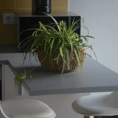 Cantinho Do Populo * Πόντα Ντελγκάντα