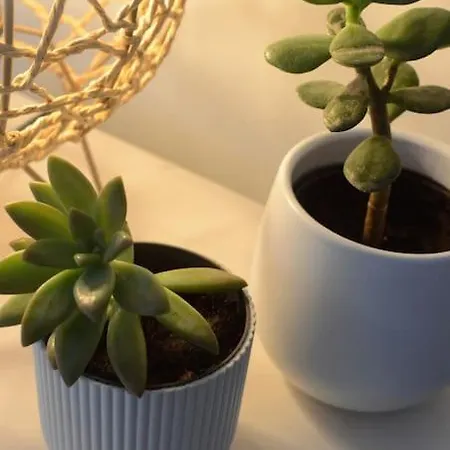 Cantinho Do Populo *