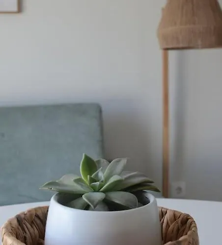 Cantinho Do Populo * Ponta Delgada (Sao Miguel)